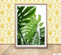 VẢI SỢI THỦY TINH CLASSIC