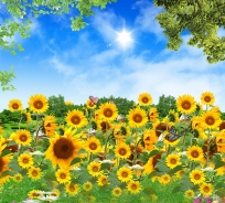 TRANH 3D PHỐI CẢNH