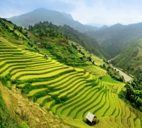 TRANH 3D PHONG CẢNH